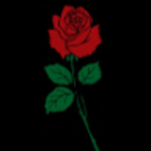 Meet your Posher, Anne